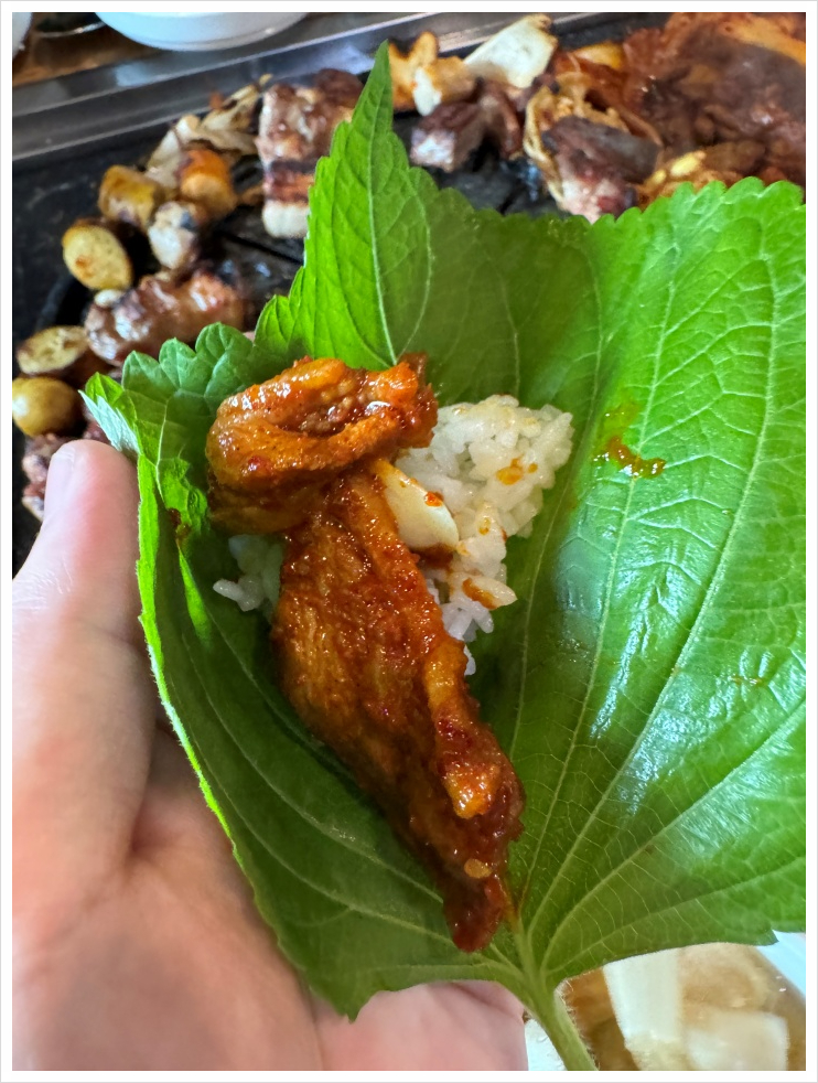 다 오리 이미지