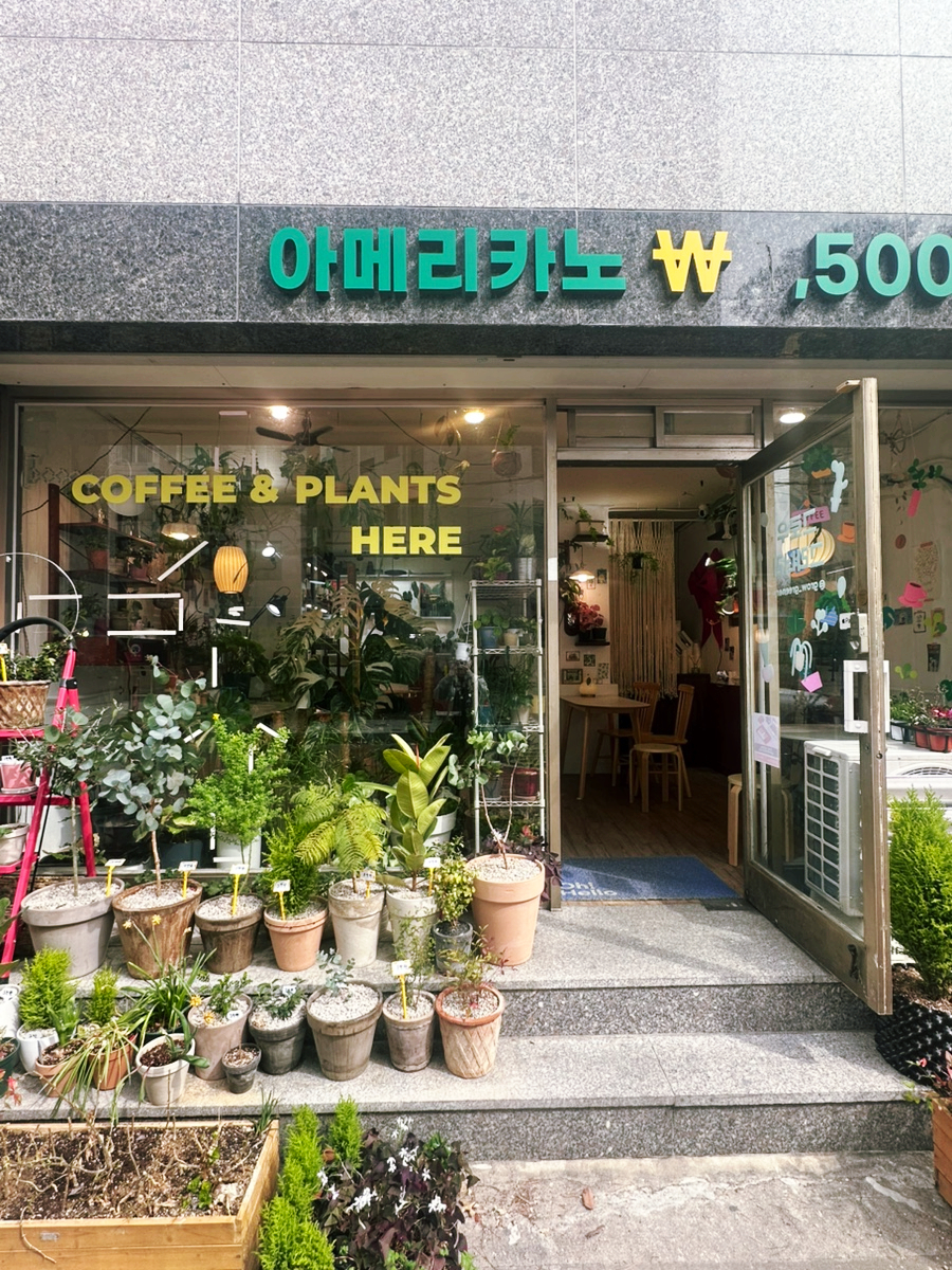 그로우 그리너리 이미지
