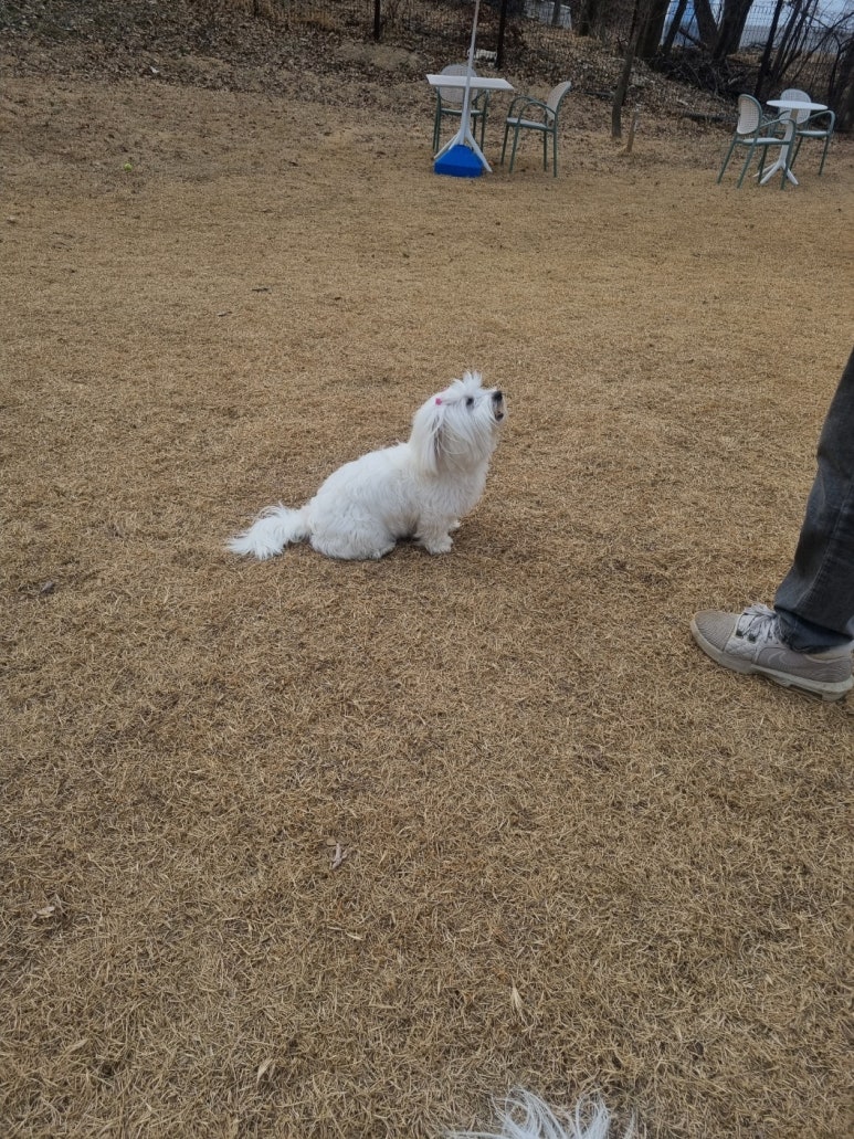함께 신나는 카페 이미지