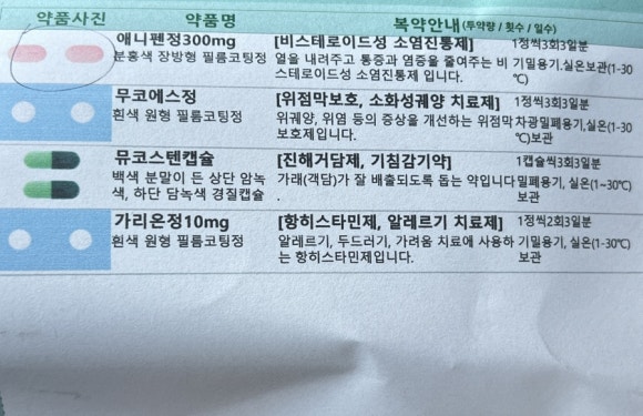 효원제육 이미지