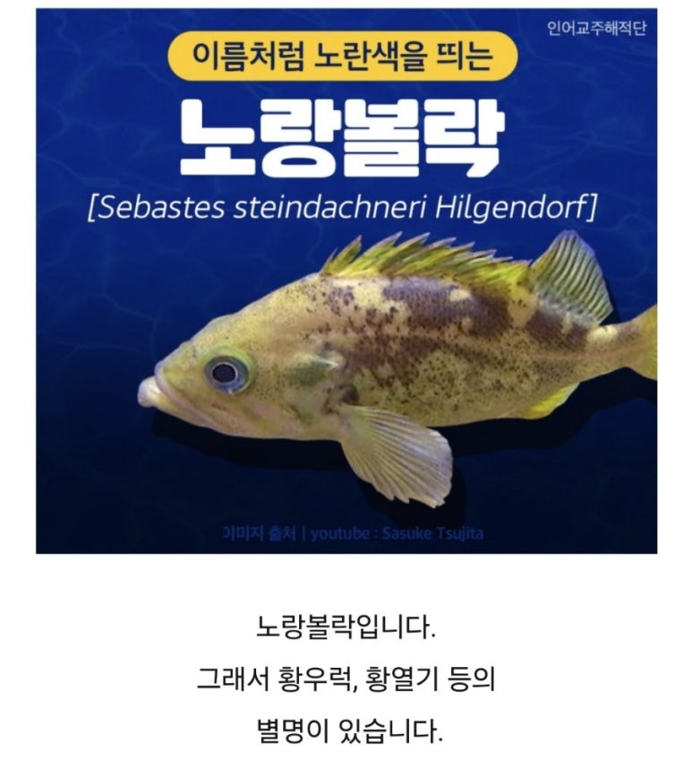 후니호 이미지