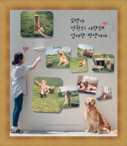 밝은실사 이미지