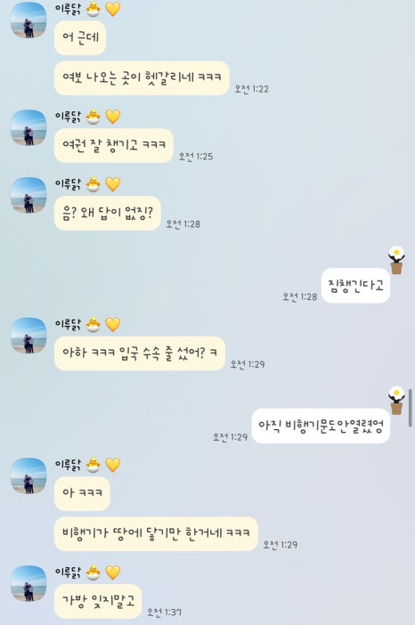 미잉 이미지