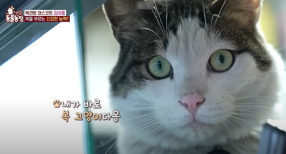 행복복권방 이미지