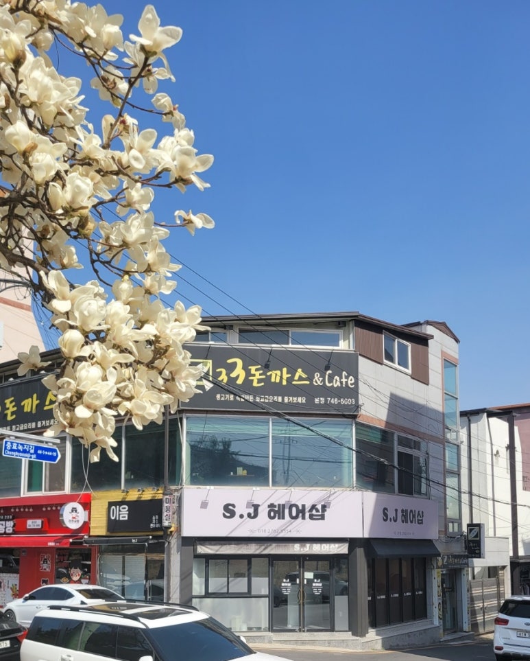 에스제이헤어 이미지