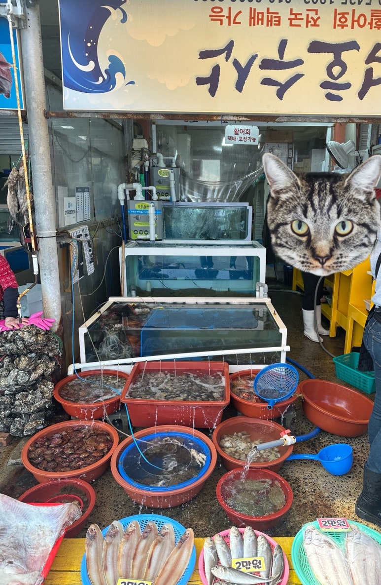 덕호수산 이미지