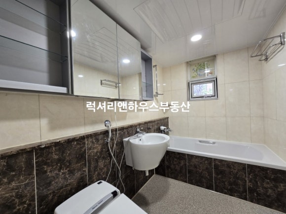 대우화이트 이미지