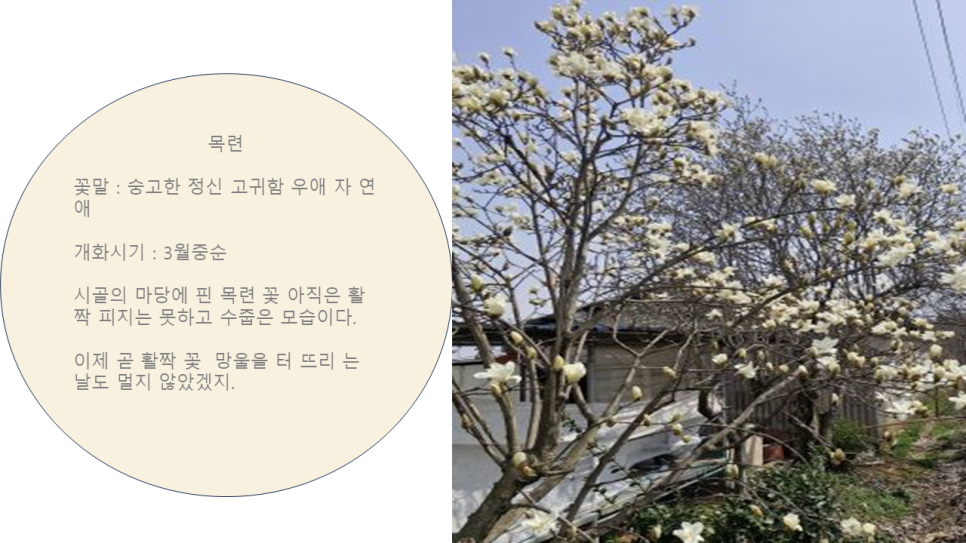 김포통진하이웨이 이미지