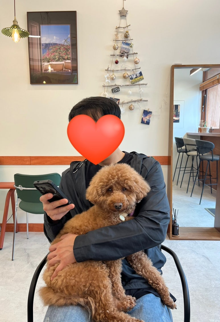 오픈잉 이미지