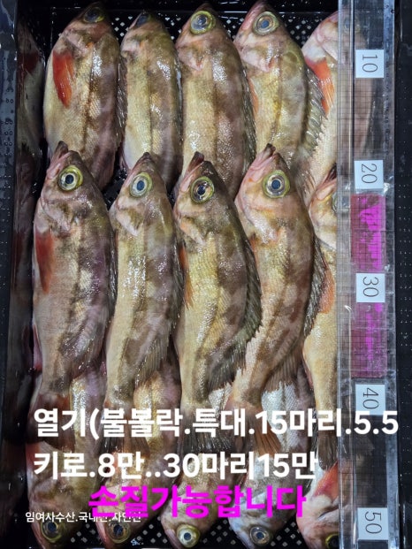 임여사수산 이미지