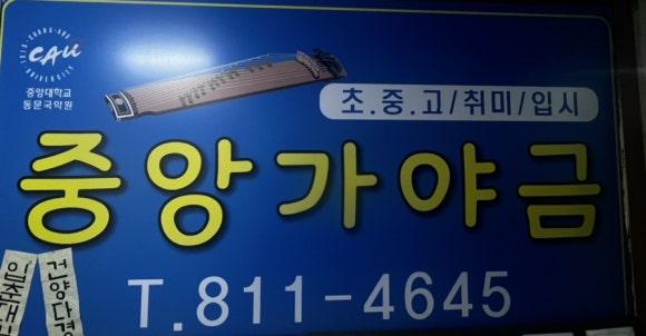 오블라디25 이미지