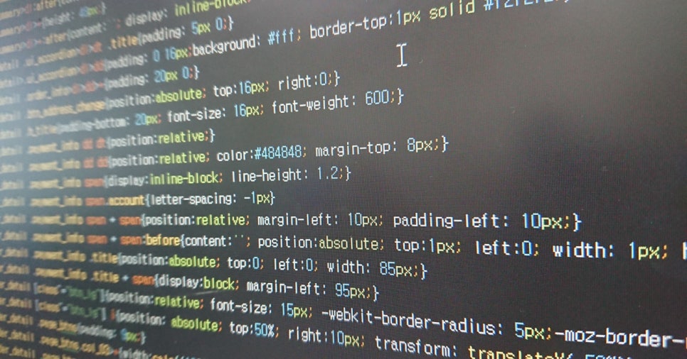 커리어 전환 프로젝트