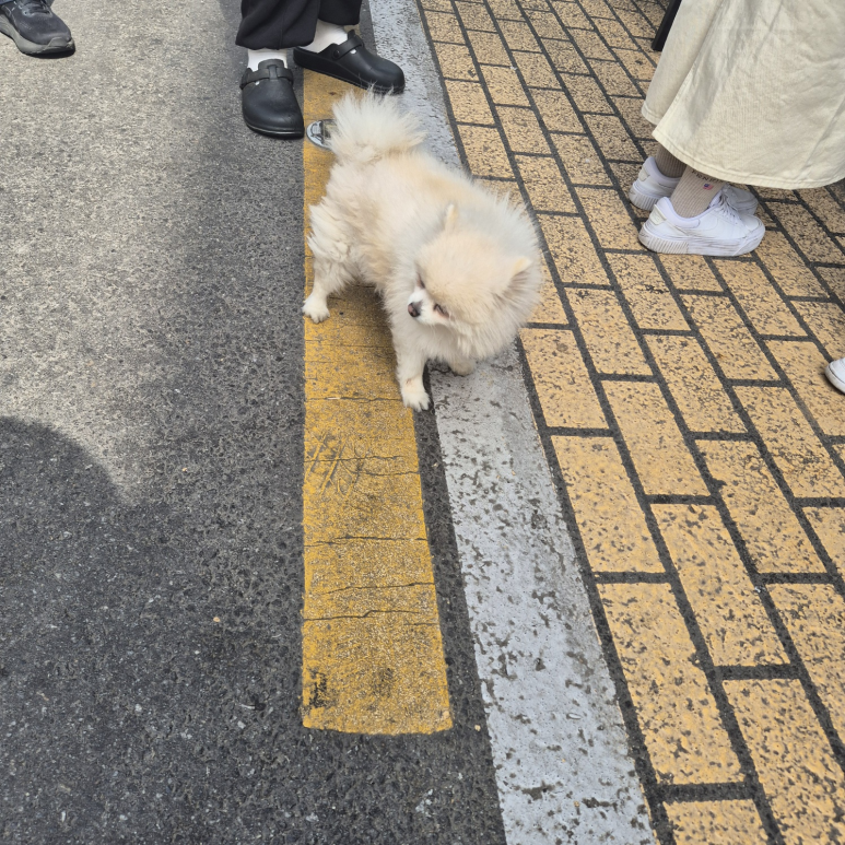 야호세탁소 이미지