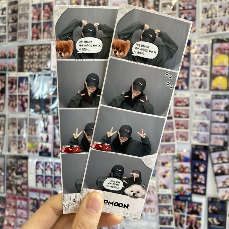 그믐달셀프스튜디오시흥배곧점 이미지