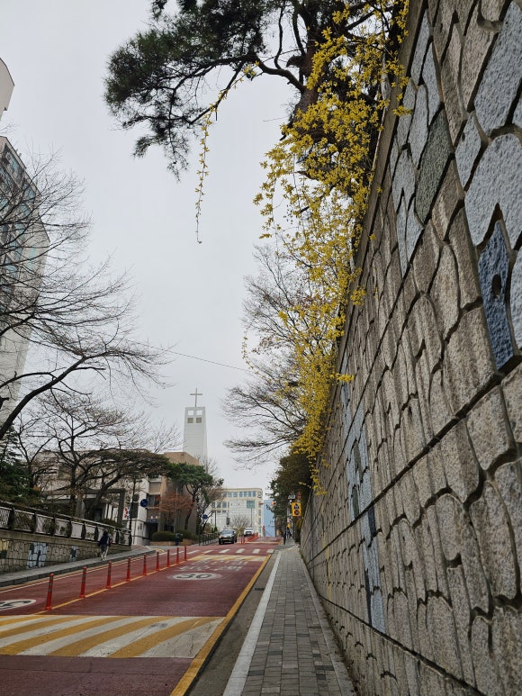 피오디컴퍼니 이미지