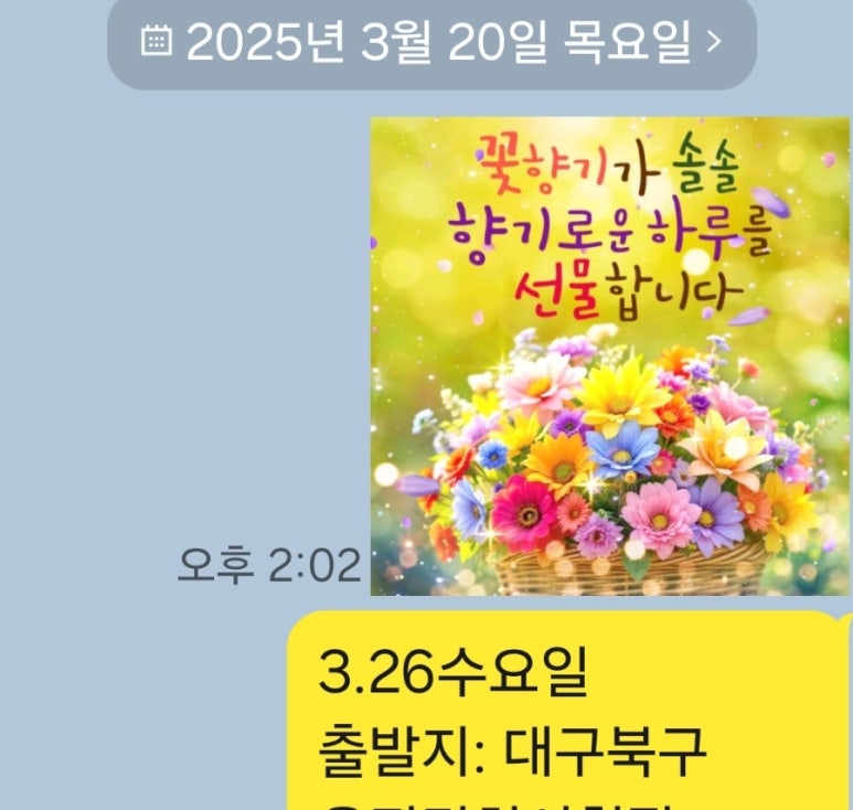 제주올레광고 이미지