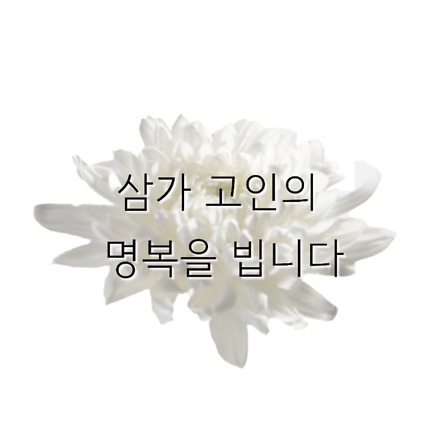 분당종합설비 이미지