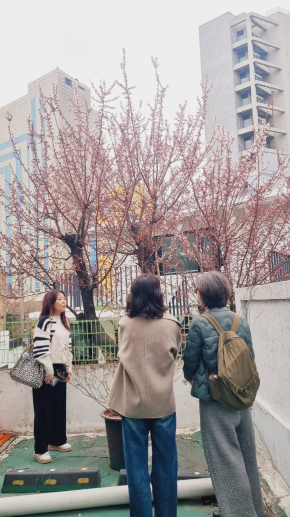 책봄 이미지