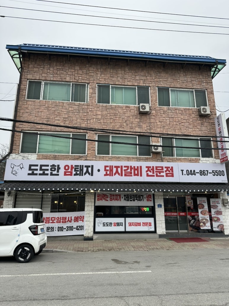 도도한암퇘지 이미지