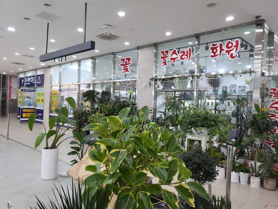 화원세탁소 이미지