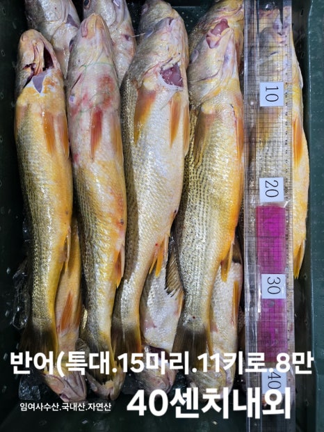 임여사수산 이미지
