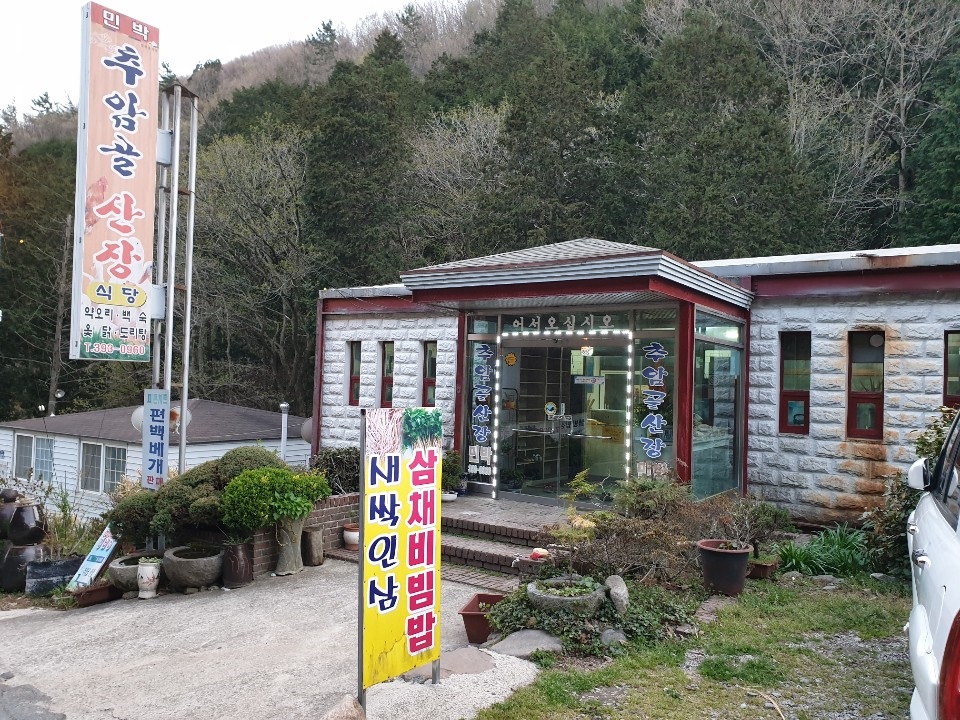 나무병원건강한숲 이미지