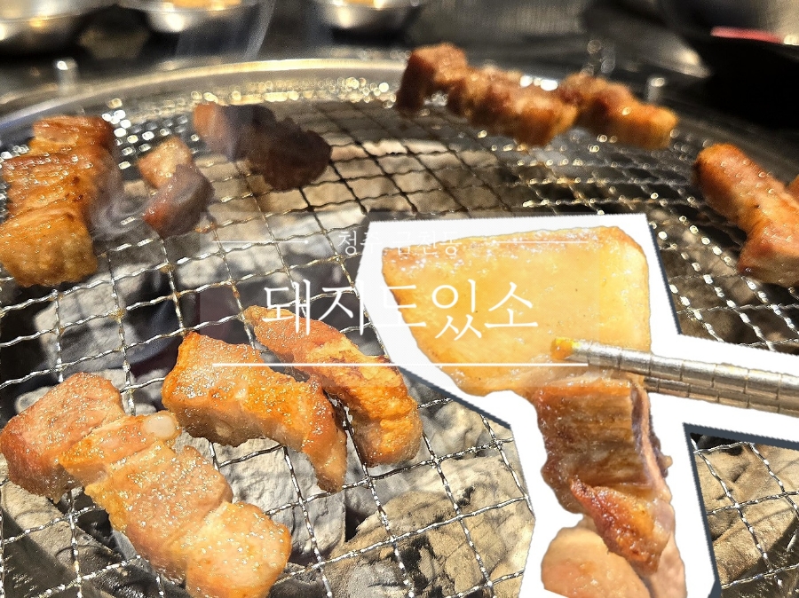 돼지도있소 이미지