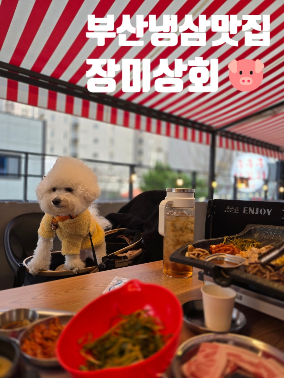 오구상회 이미지
