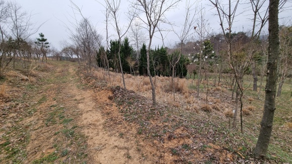 제일카공업사 이미지