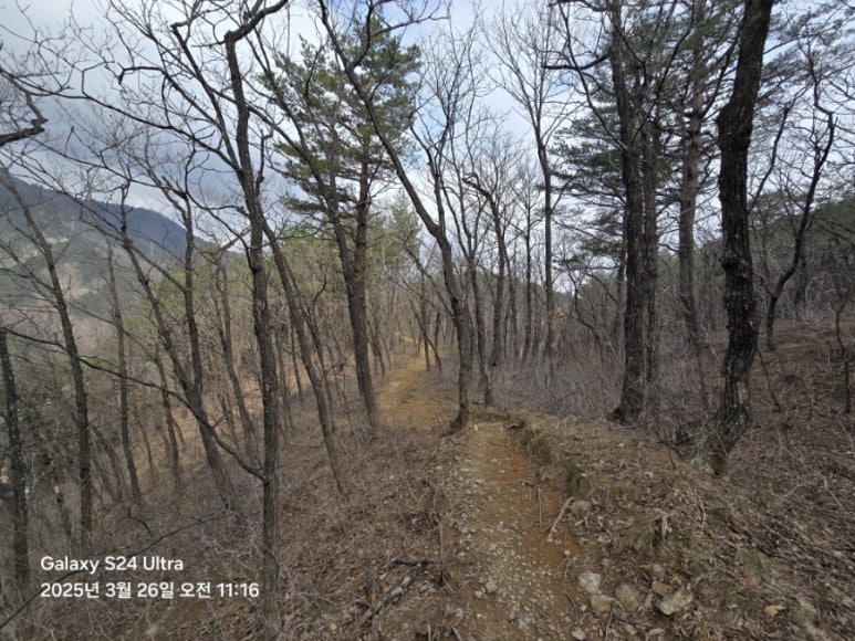 DMZ 평화의 길 31코스 이미지
