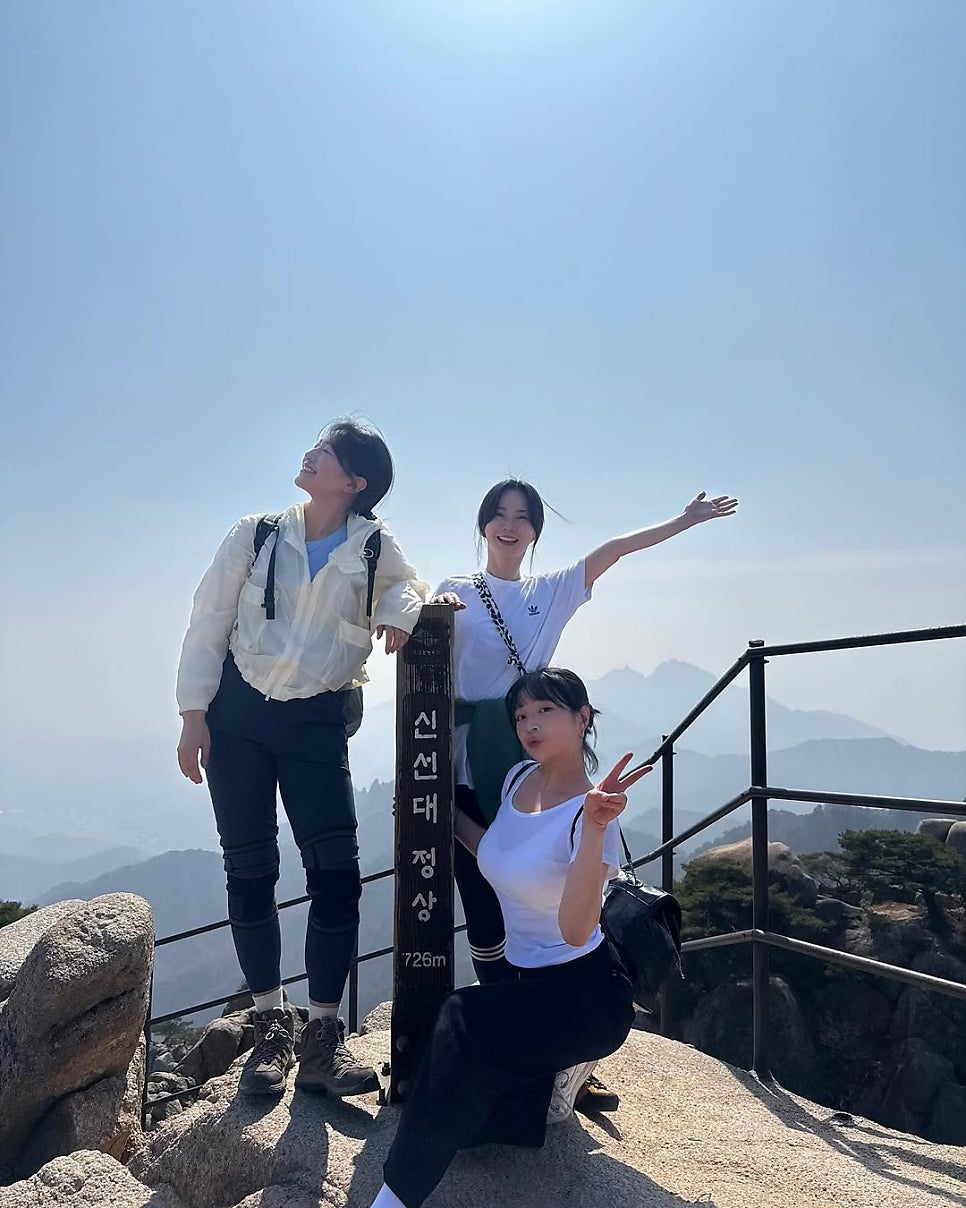 얄미운여우 이미지