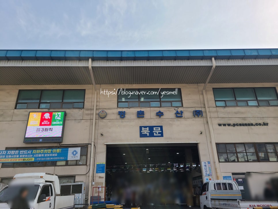예대신선횟집 이미지