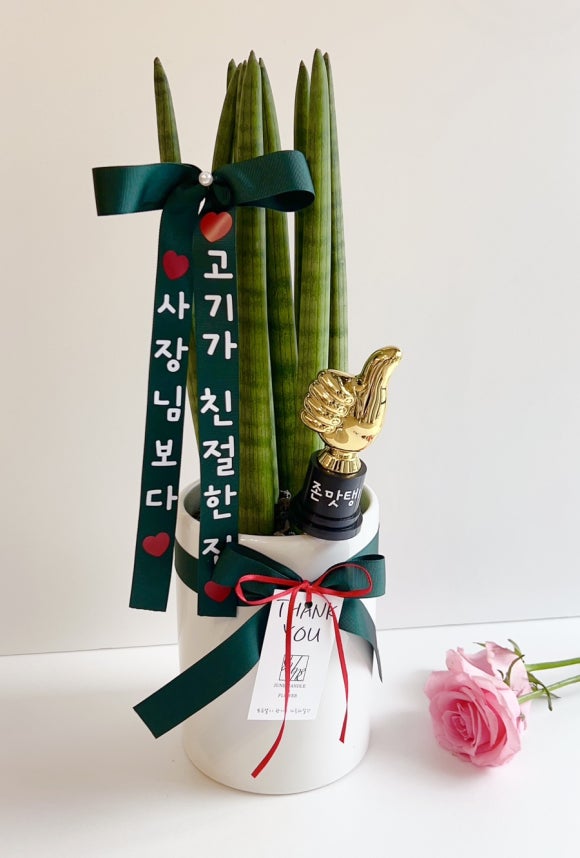 주니캔들본사 이미지