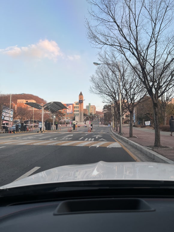 매직당근 이미지