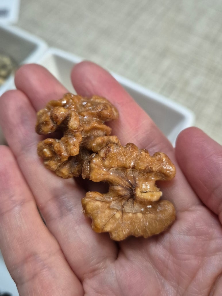 연재정과 사진 5
