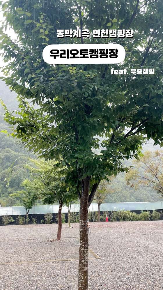 우리오토캠핑장 이미지