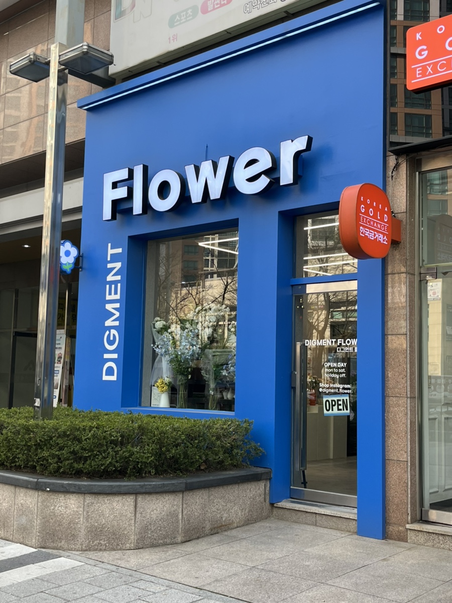 디그먼트 이미지