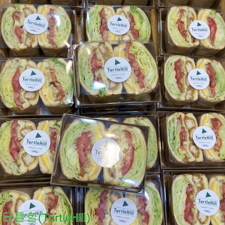 터틀힐 이미지