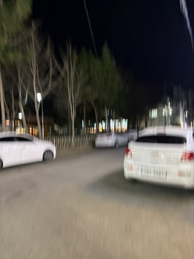 분꽃 : 밤에피는꽃 이미지