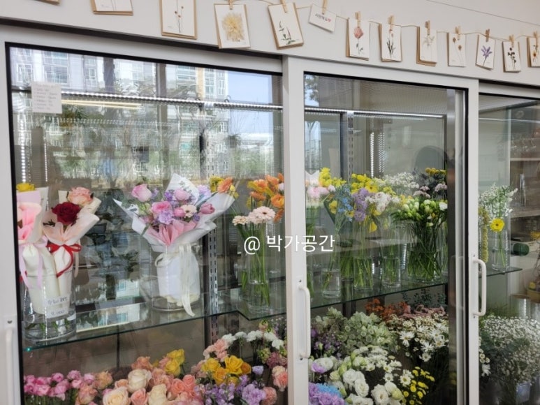 신자;꽃 이미지