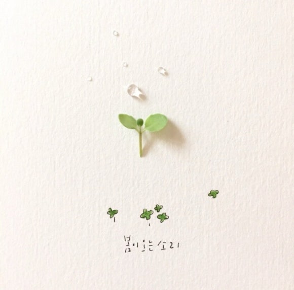 새벽라인 이미지