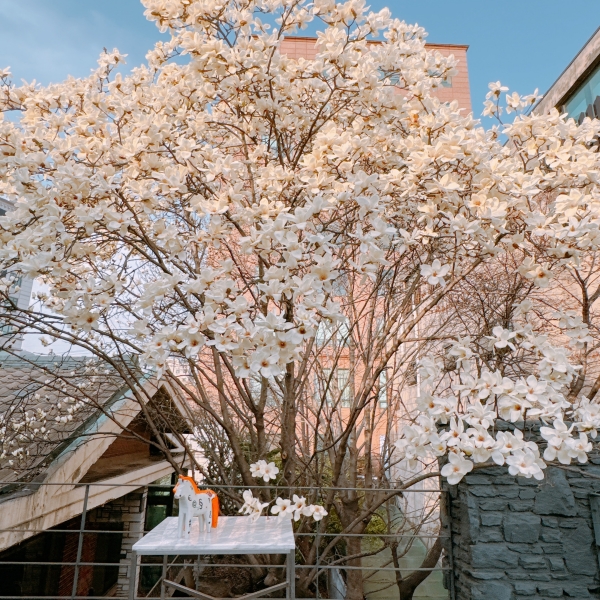 실란트로(주) 이미지