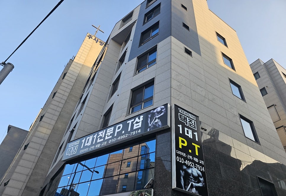 택짐피티샵 이미지