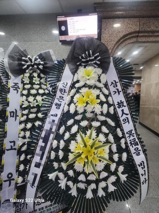 플렌케 이미지