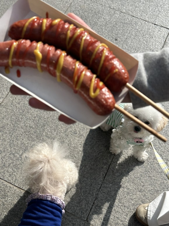 뜨락펜션 이미지