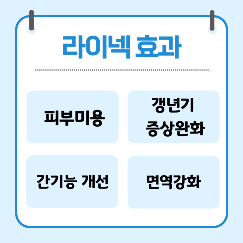 한상길내과의원 이미지