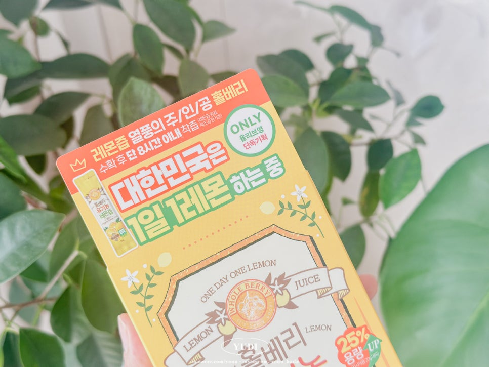 베리유디 이미지