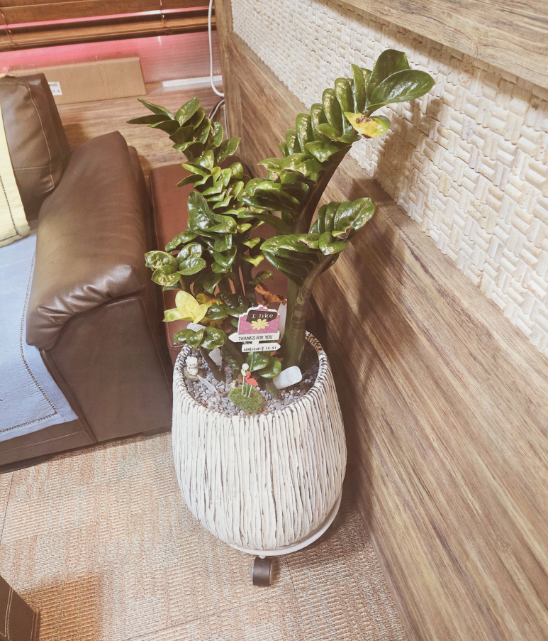 썬체형관리 이미지