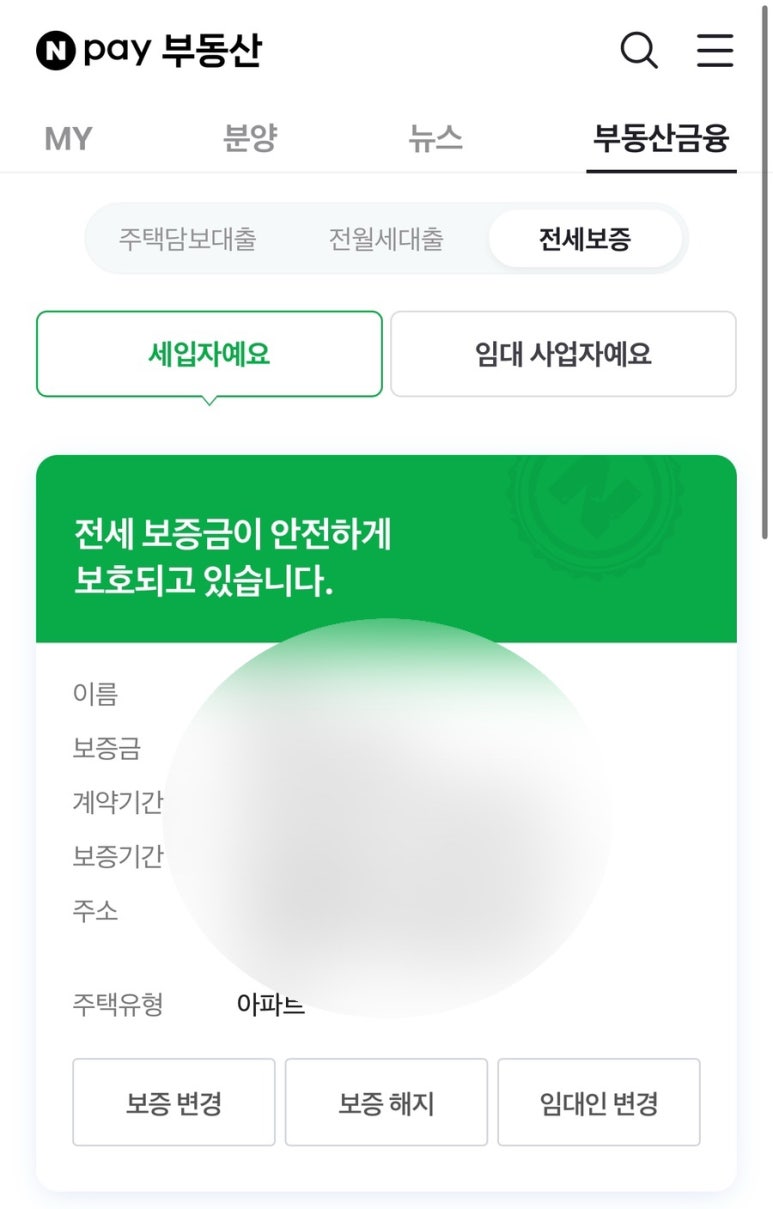맘스터치대전 이미지