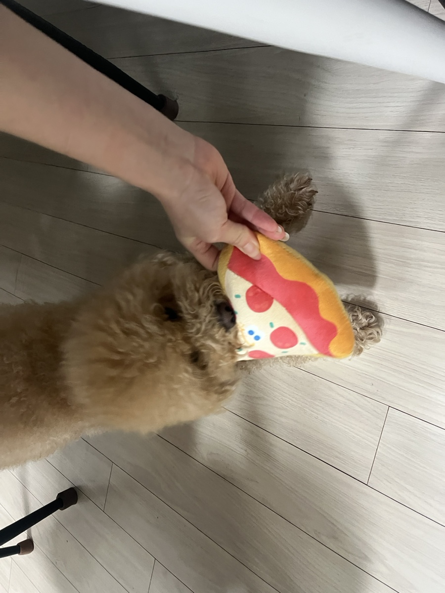 뚜뚜빵빵 이미지